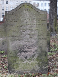 picture 01550-1-1-AF-apr2011.JPG