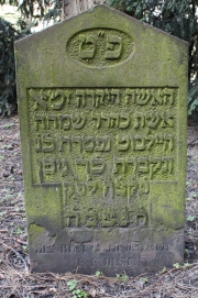 picture 01552-1-1-AF-apr2011.JPG