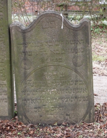 picture 01569-1-1-AF-apr2011.JPG