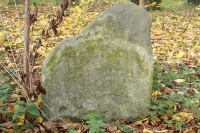 picture 01639-1-1-JP-nov2010.JPG