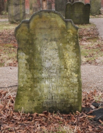 picture 01652-1-1-AF-apr2011.JPG