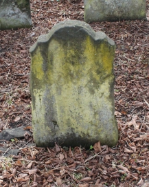 picture 01652-1-2-AF-apr2011.JPG