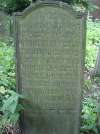 picture 01656-1-1-TB-jul2010.JPG