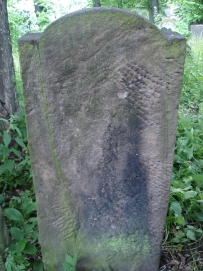 picture 01656-1-2-TB-jul2010.JPG