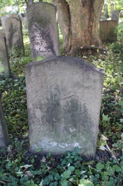 picture 01702-1-2-AF-okt2010.JPG