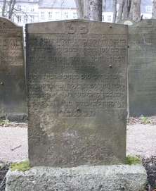 picture 01742-1-1-AF-apr2011.JPG