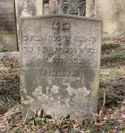 picture 01749-1-1-AF-apr2011.JPG