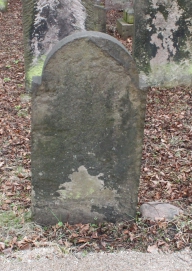 picture 01829-1-2-AF-apr2011.JPG