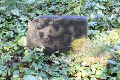 picture 01837-1-1-AF-okt2010.JPG