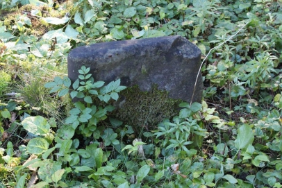 picture 01837-1-2-AF-okt2010.JPG