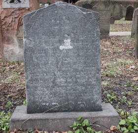 picture 01839-1-1-AF-apr2011.JPG