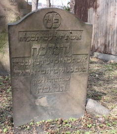 picture 01861-1-1-AF-apr2011.JPG