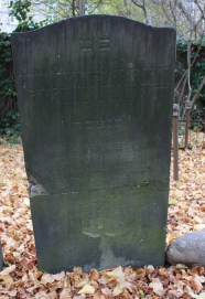 picture 01880-1-1-AF-nov2011.JPG