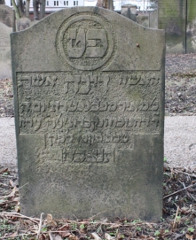 picture 01883-1-1-AF-apr2011.JPG