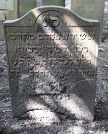 picture 01925-1-1-AF-aug2011.JPG