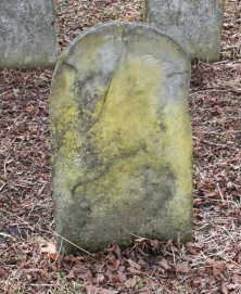 picture 01938-1-2-AF-apr2011.JPG