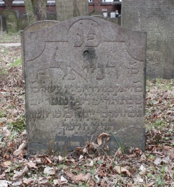 picture 02003-1-1-AF-apr2011.JPG