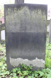 picture 02013-1-1-AF-apr2011.JPG