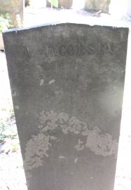 picture 02019-1-2-AF-jul2011.jpg