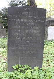 picture 02053-1-1-AF-apr2011.JPG