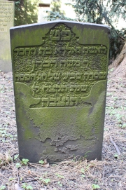 picture 02059-1-1-AF-apr2011.JPG