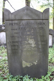 picture 02135-1-1-AF-apr2011.JPG