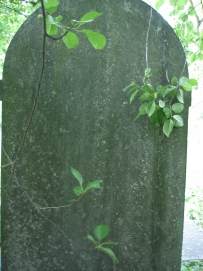 picture 02167-1-2-TB-jul2010.JPG