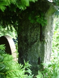 picture 02171-1-2-TB-jul2010.JPG