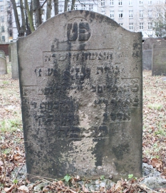 picture 02190-1-1-AF-apr2011.JPG