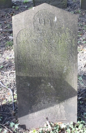 picture 02283-1-1-AF-apr2011.JPG