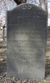 picture 02312-1-1-AF-apr2011.JPG