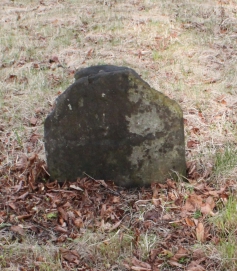 picture 02319-1-1-AF-apr2011.JPG