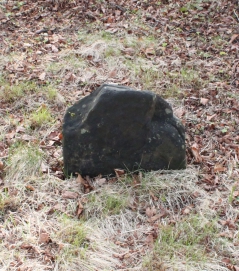 picture 02319-1-2-AF-apr2011.JPG