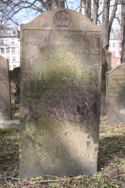 picture 02328-1-1-AF-apr2011.JPG