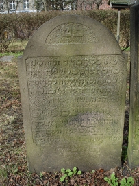 picture 02331-1-1-TB-apr2011.JPG