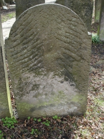 picture 02331-1-2-TB-apr2011.JPG