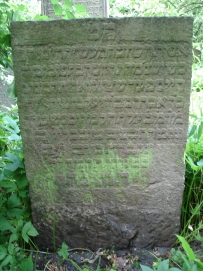 picture 02333-1-1-TB-jul2010.JPG