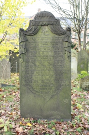 picture 02342-1-1-JP-nov2010.JPG