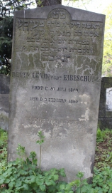 picture 02384-1-1-AF-apr2011.JPG