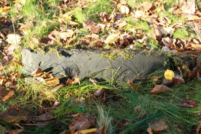 picture 02422-1-1-JP-nov2010.JPG