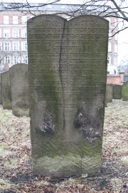 picture 02479-1-1-AF-apr2011.JPG