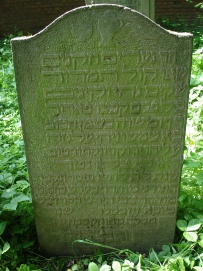 picture 02548-1-1-TB-jun2010.JPG