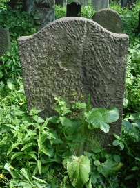 picture 02548-1-2-TB-jun2010.JPG