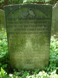 picture 02606-1-1-TB-jun2010.JPG