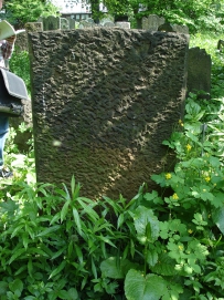 picture 02606-1-2-TB-jun2010.JPG