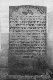 picture 02606-1-6-gravminder-xxx1912.jpg