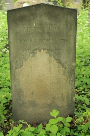 picture 02644-1-1-JP-jun2011.JPG