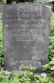 picture 02654-1-1-AF-jun2011.JPG