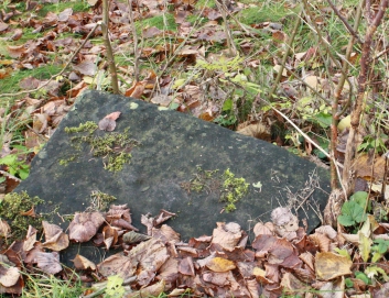 picture 02694-1-1-JP-nov2010.JPG