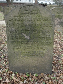 picture 02757-1-1-TB-apr2011.JPG